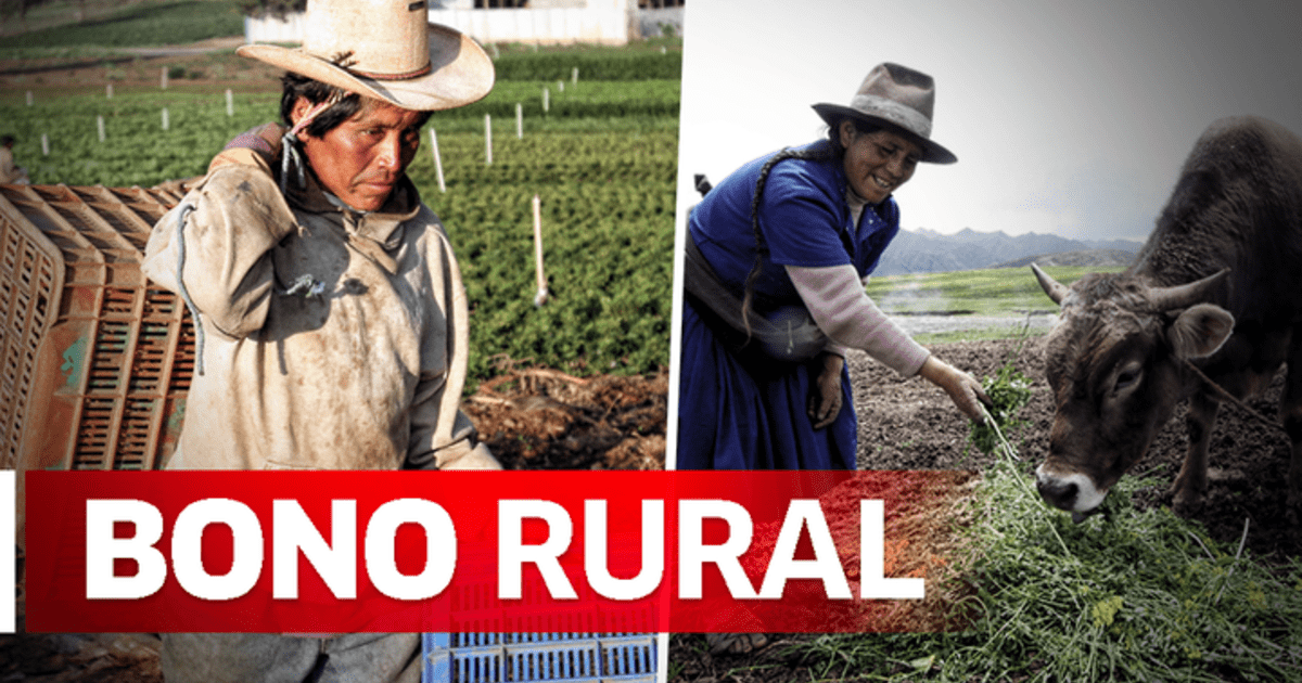 LINK Bono Rural CONSULTA Con DNI Lista De Beneficiarios Del Subsidio