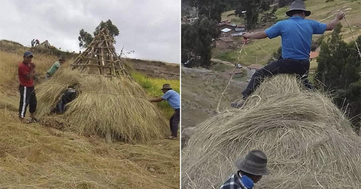 En Ayacucho Pobladores Hacen Chozas De Ichu Para Que Viajeros Acaten