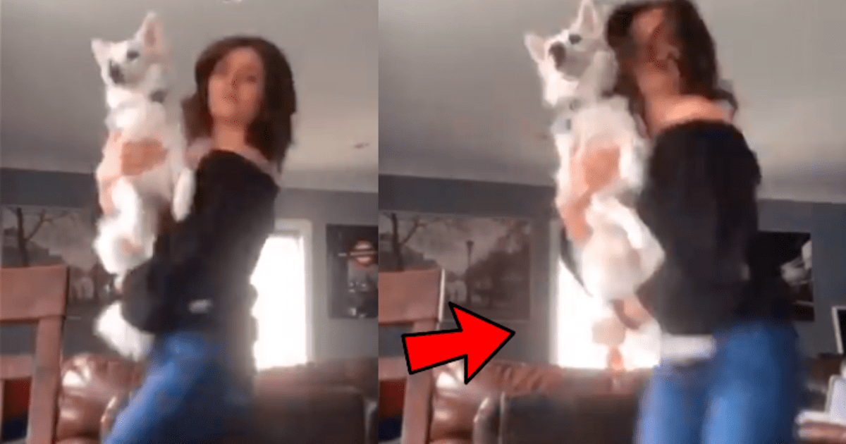 Facebook Viral Chica Improvisa Sexy Baile Junto A Su Perro Comete