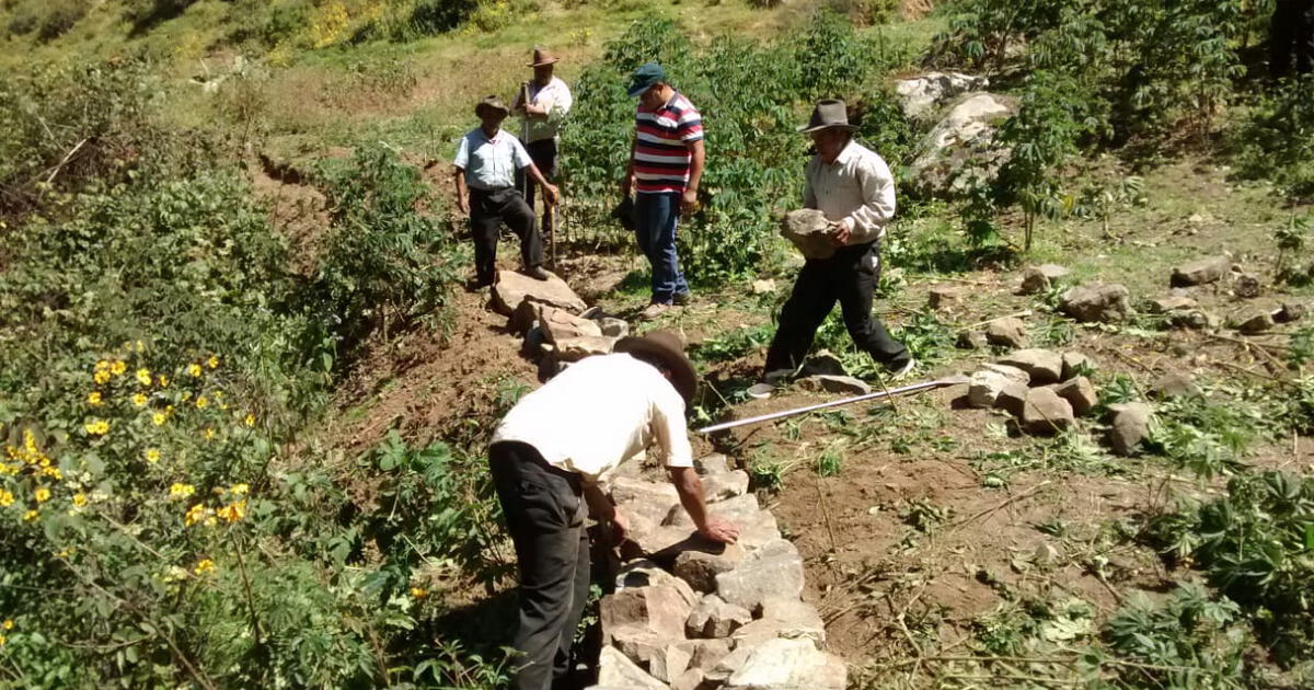 Minagri realiza obras para mejorar producción de cultivos en Yungay