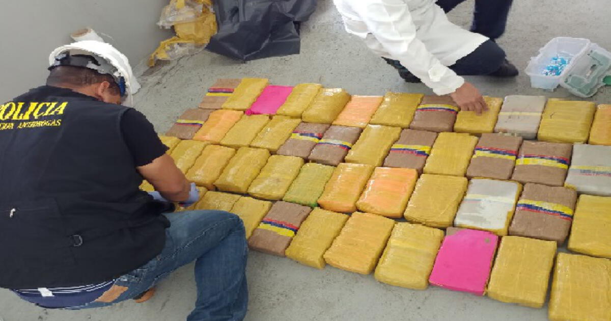 Dirandro Incautan 400 Kilos De Marihuana En Puerto Del Callao