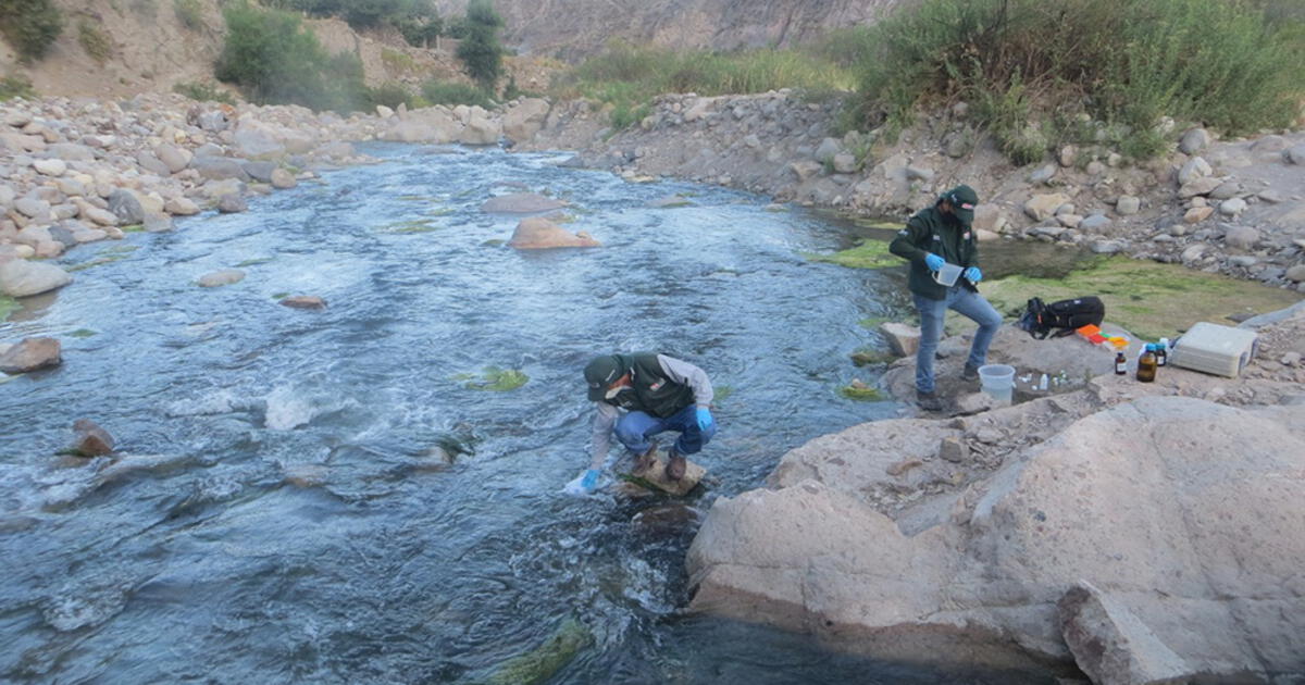 Arequipa por onceava vez monitorean la calidad de agua del río Ocoña