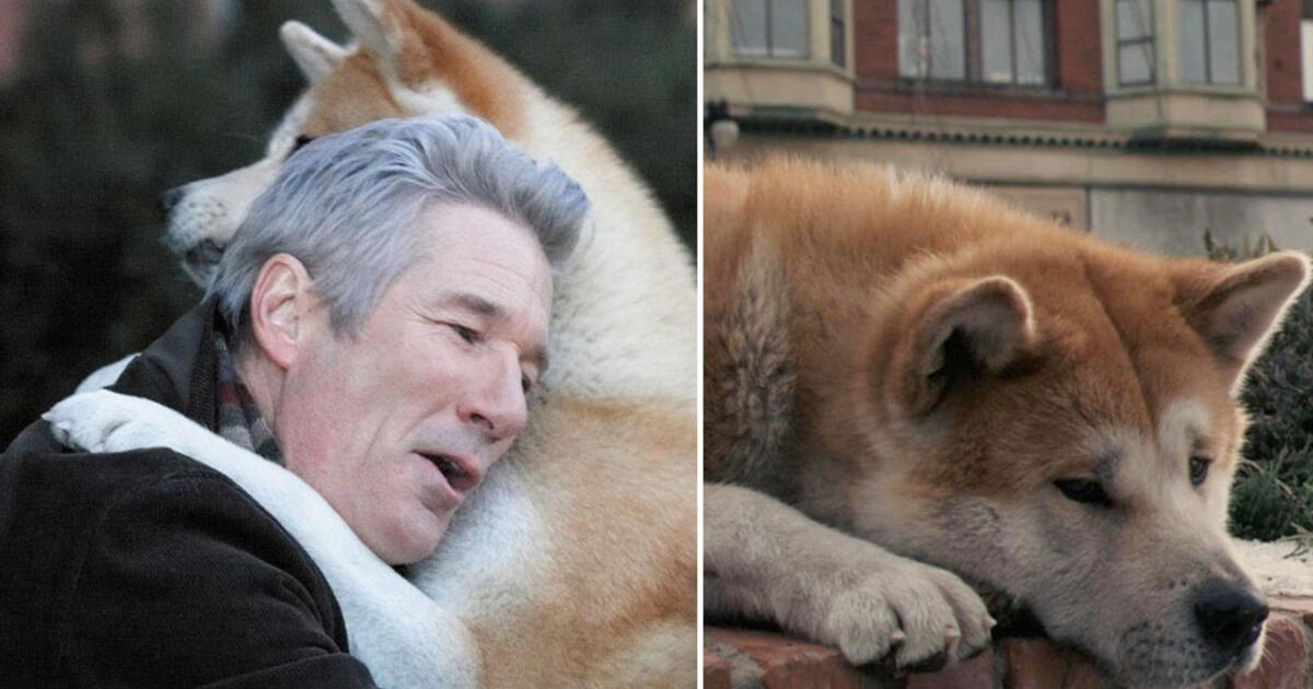 Día Mundial del Perro Hachiko y la película que se basó en su