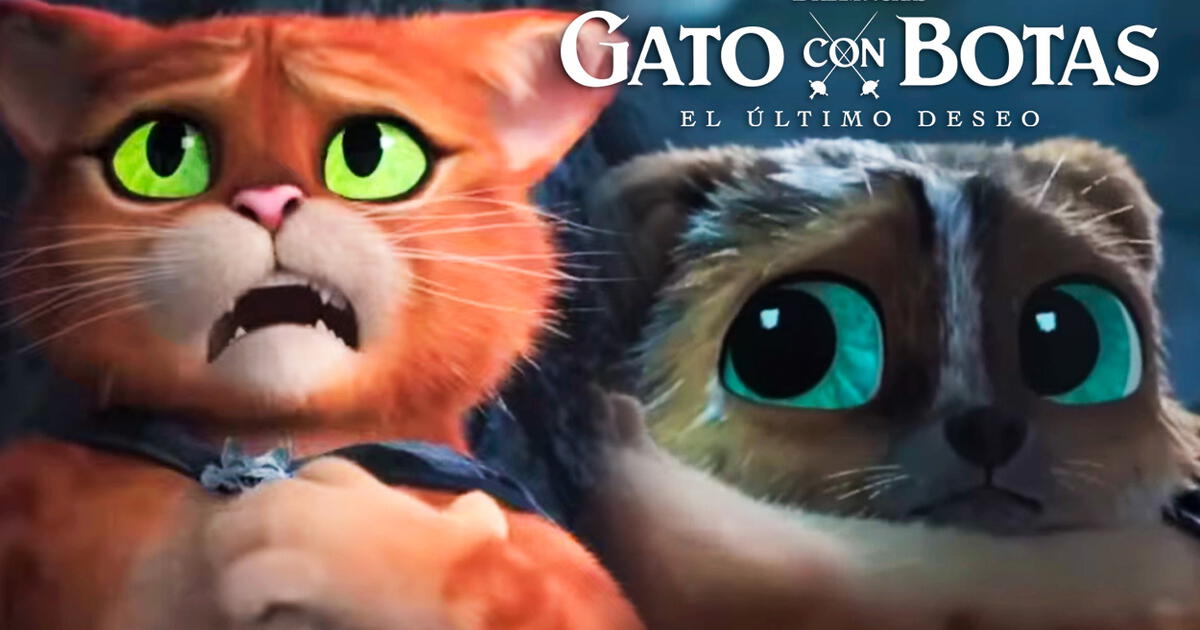 Gato con Botas el último deseo expone dura realidad de un ataque de