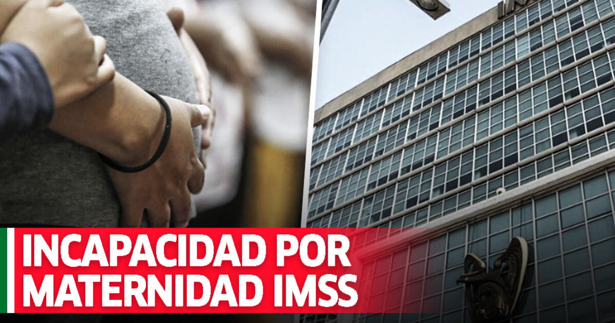 IMSS Cómo tramitar incapacidad por embarazo en línea por internet para