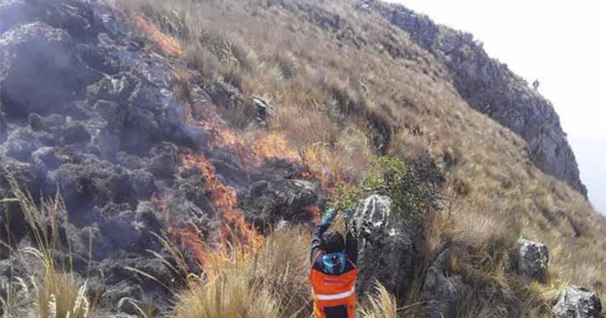 Cinco Hect Reas De Cobertura Natural En Apur Mac Fueron Destruidas Por