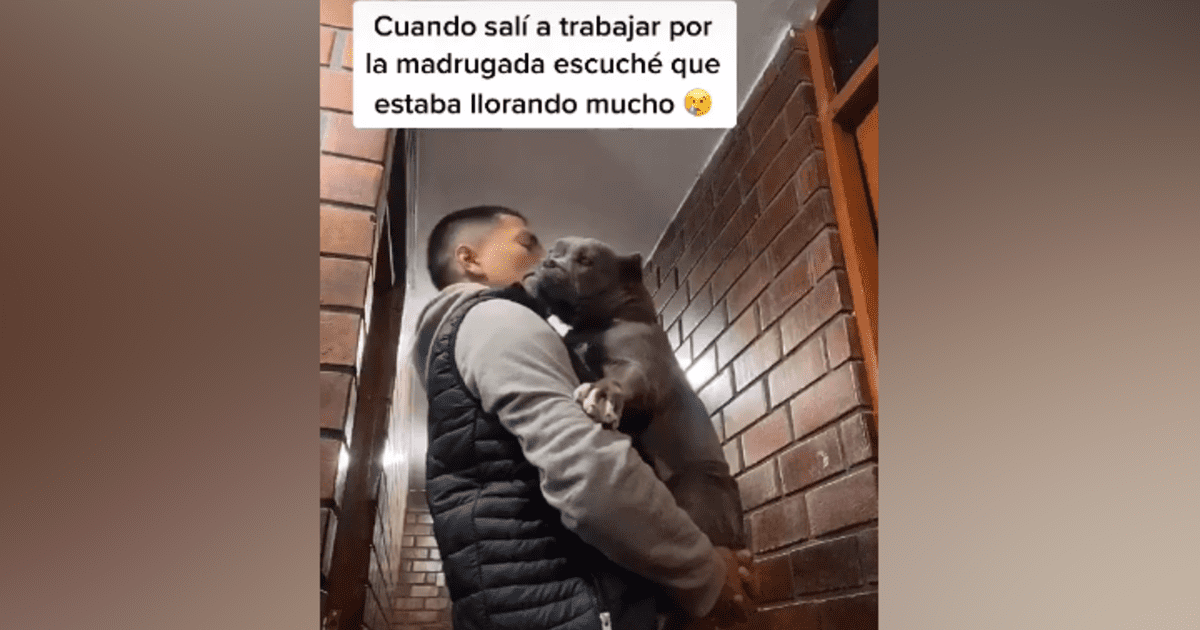 Facebook Viral Perro Tiene Tierna Reacci N Cada Vez Que Su Due O Sale