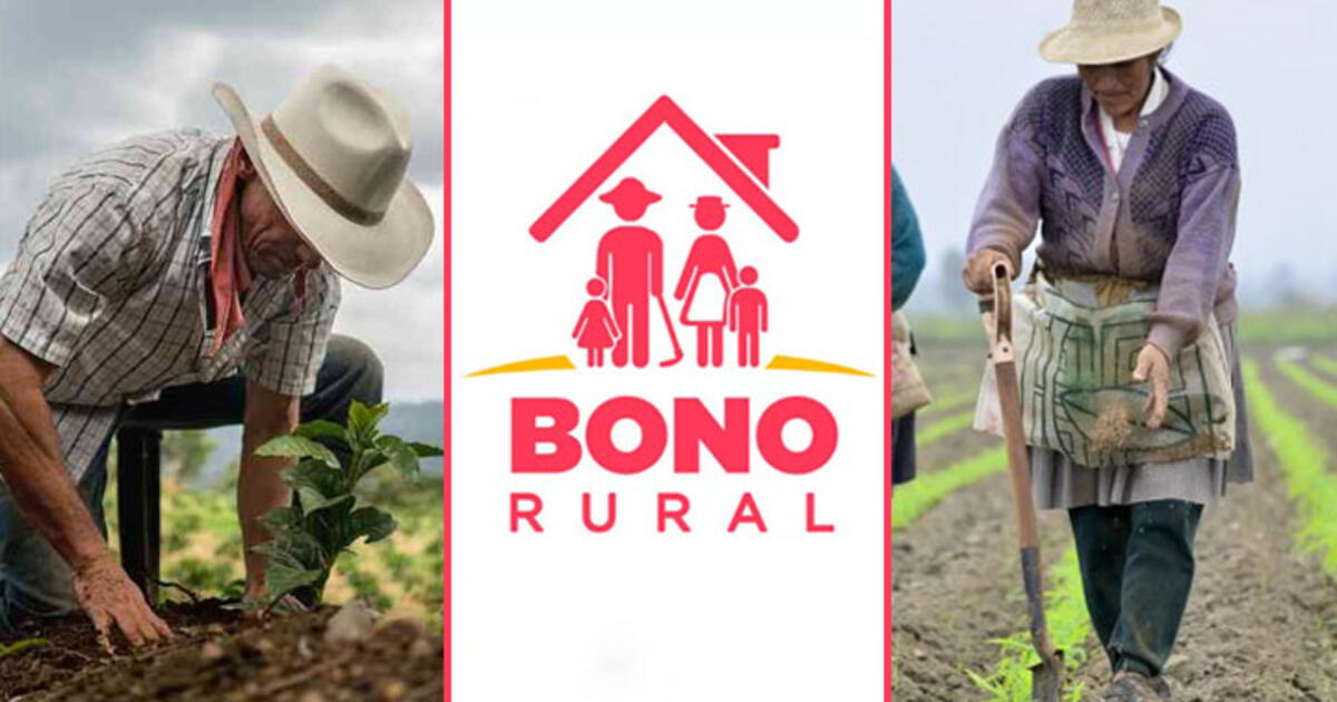 Link Aqu Bono Rural Consulta Si Eres Beneficiario Del Bono Rural