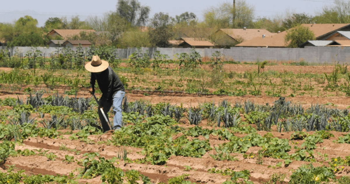 Aprueban Protocolos Para Actividades Del Sector Agricultura Y Riego