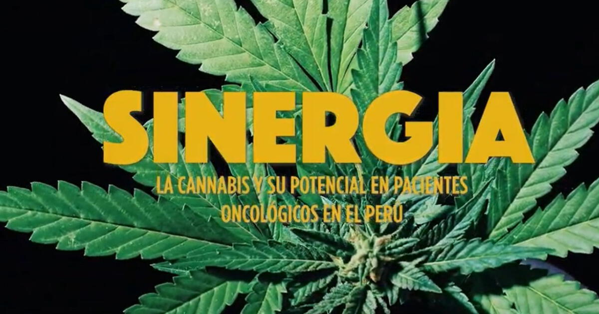 Sinergia El Primer Documental Peruano Sobre Cannabis Medicinal Cine