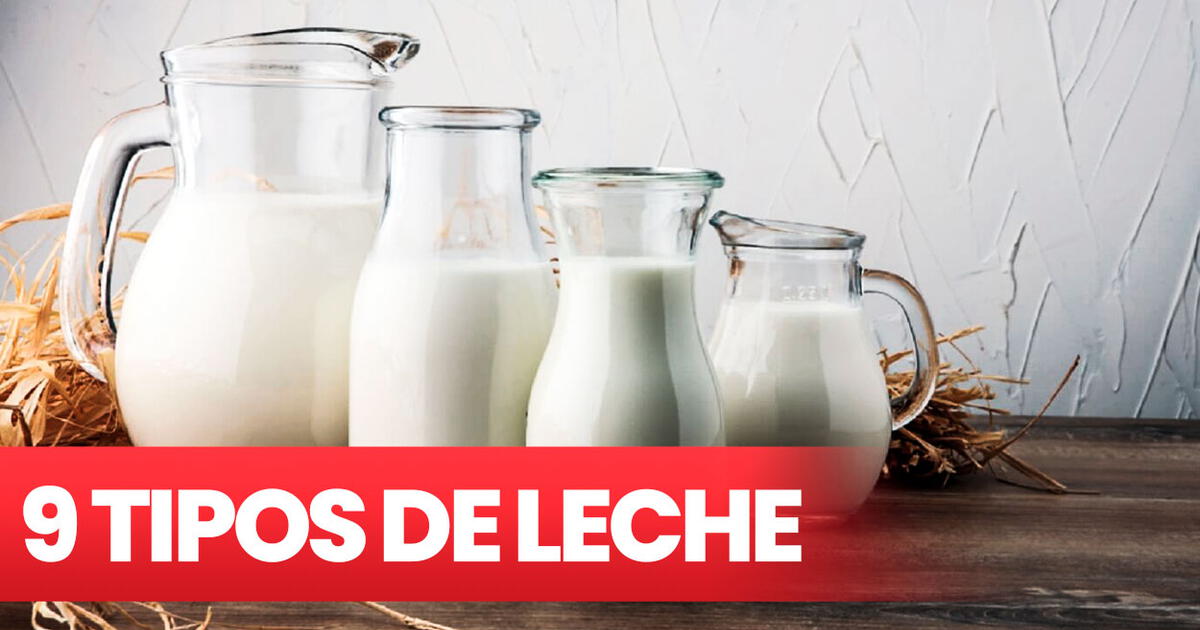 Tipos De Leche Cu L Debes Usar Para Cocinar Gastronom A La