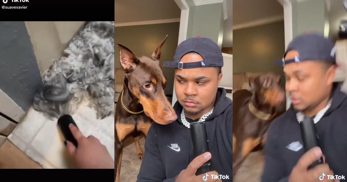 Tiktok Viral Tiktoker Le Juega Una Divertida Broma A Su Perrito Y Este