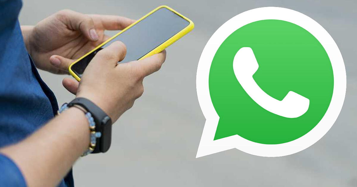 WhatsApp Las 100 Preguntas Para Conocer Mejor A Alguien Y Enviar Un