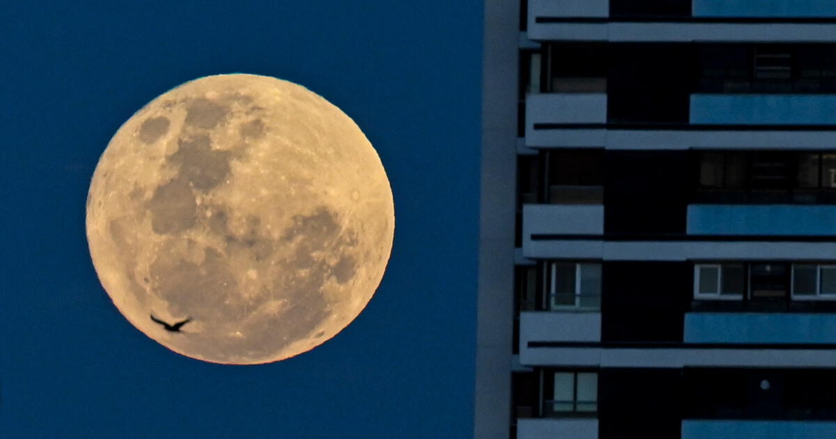 Superluna De Ciervo Luna Llena Julio En Vivo A Qu Hora Y