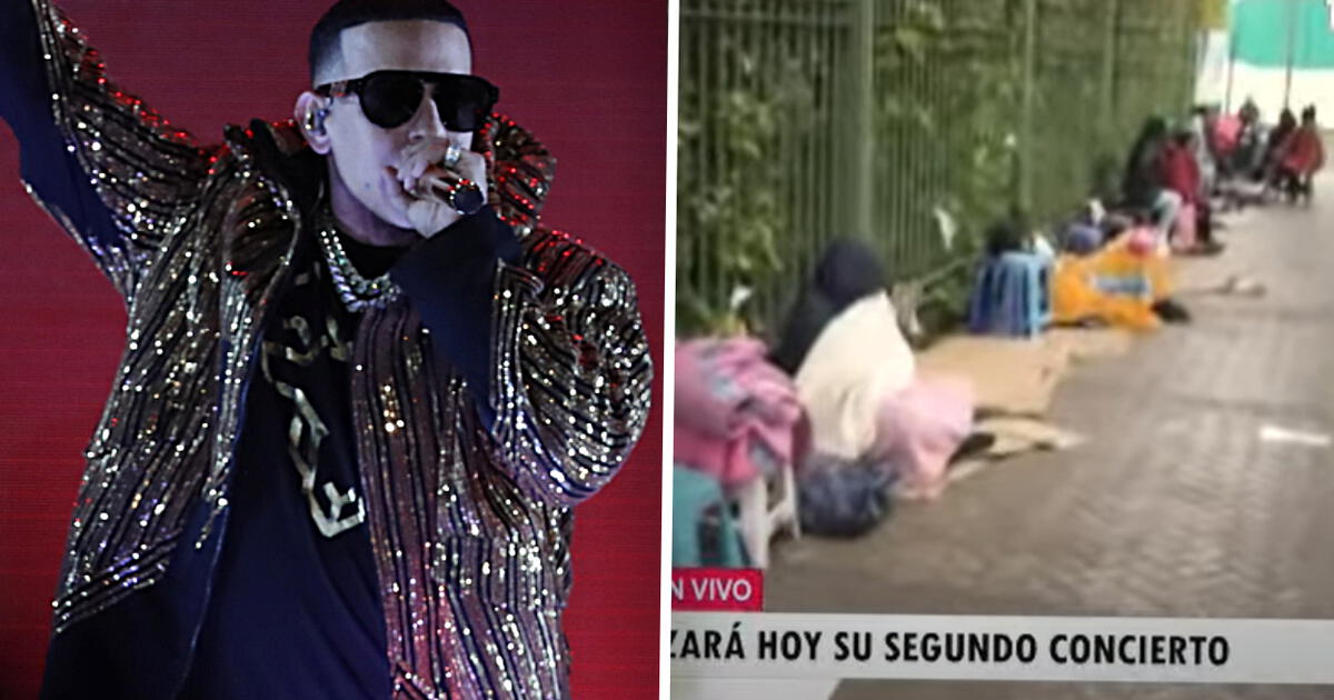 Daddy Yankee En Per Fans Del Cangri Se Amanecen Haciendo Cola