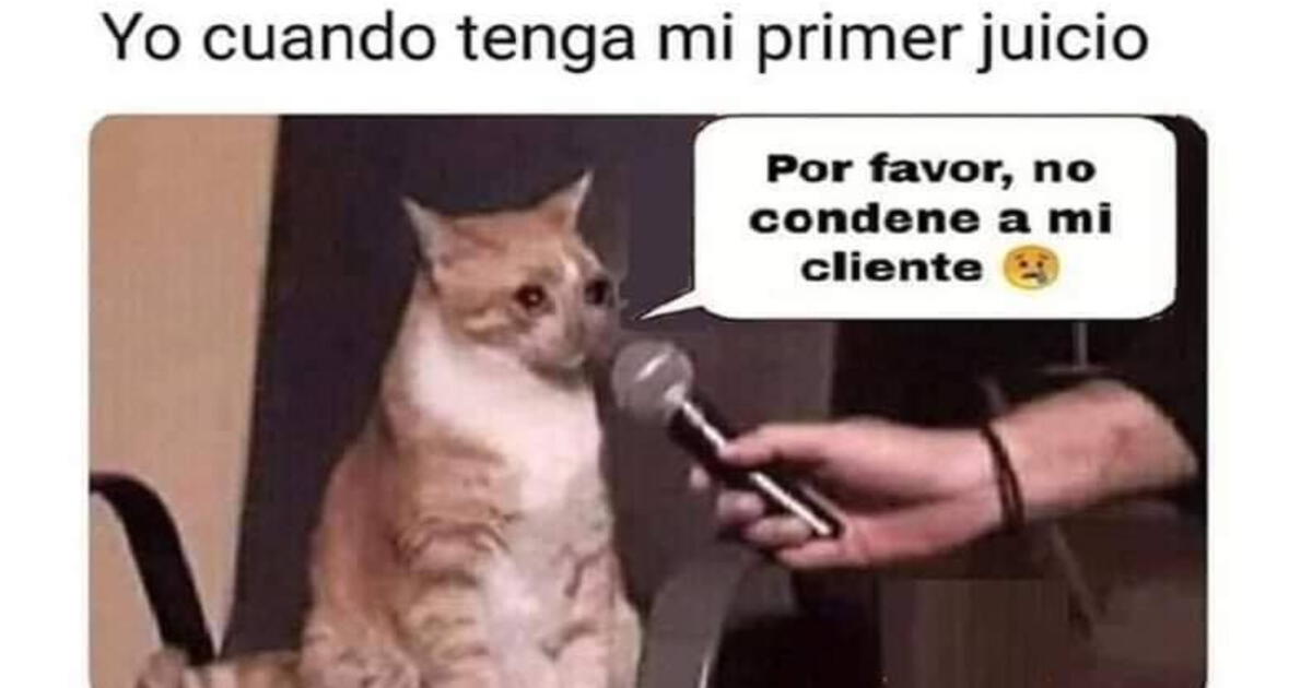 Día del abogado los mejores memes en redes sociales para celebrar la