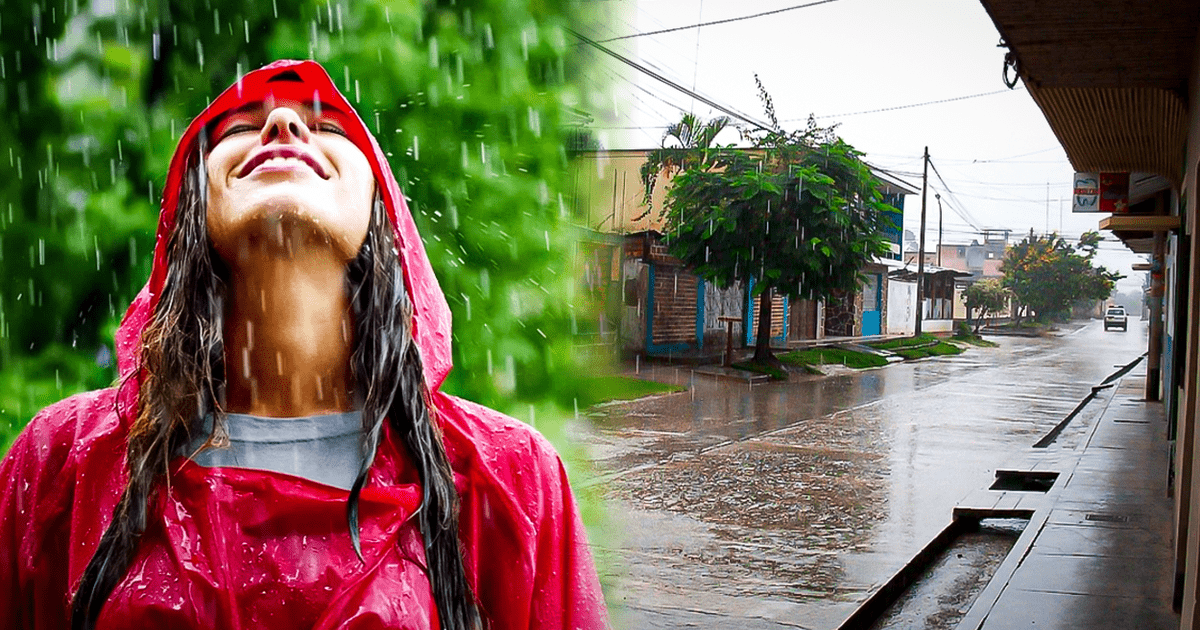 Petricor por qué el olor a lluvia le gusta tanto a las personas y