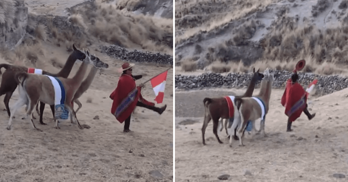 Fiestas Patrias peruano rinde homenaje al Perú desfilando junto con