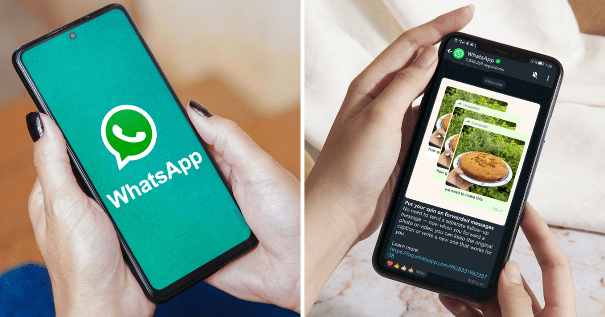 WhatsApp te agregó como contacto Conoce por qué recibes mensajes con