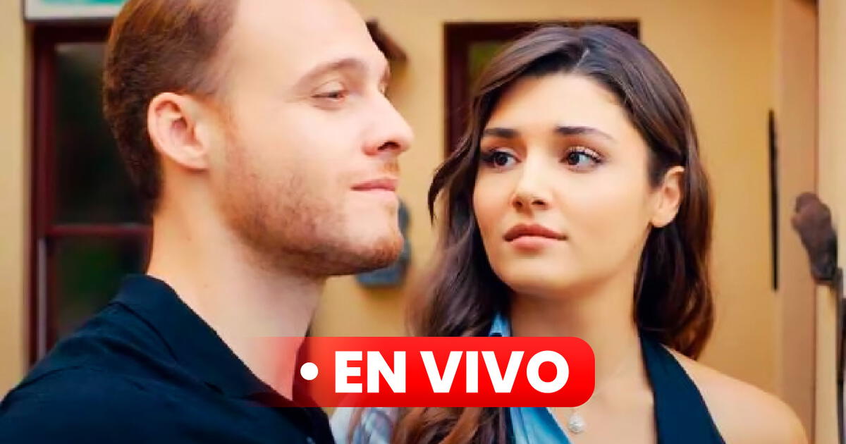 El Costo Del Amor Cap Tulo Completo En Espa Ol Ver La Novela Turca