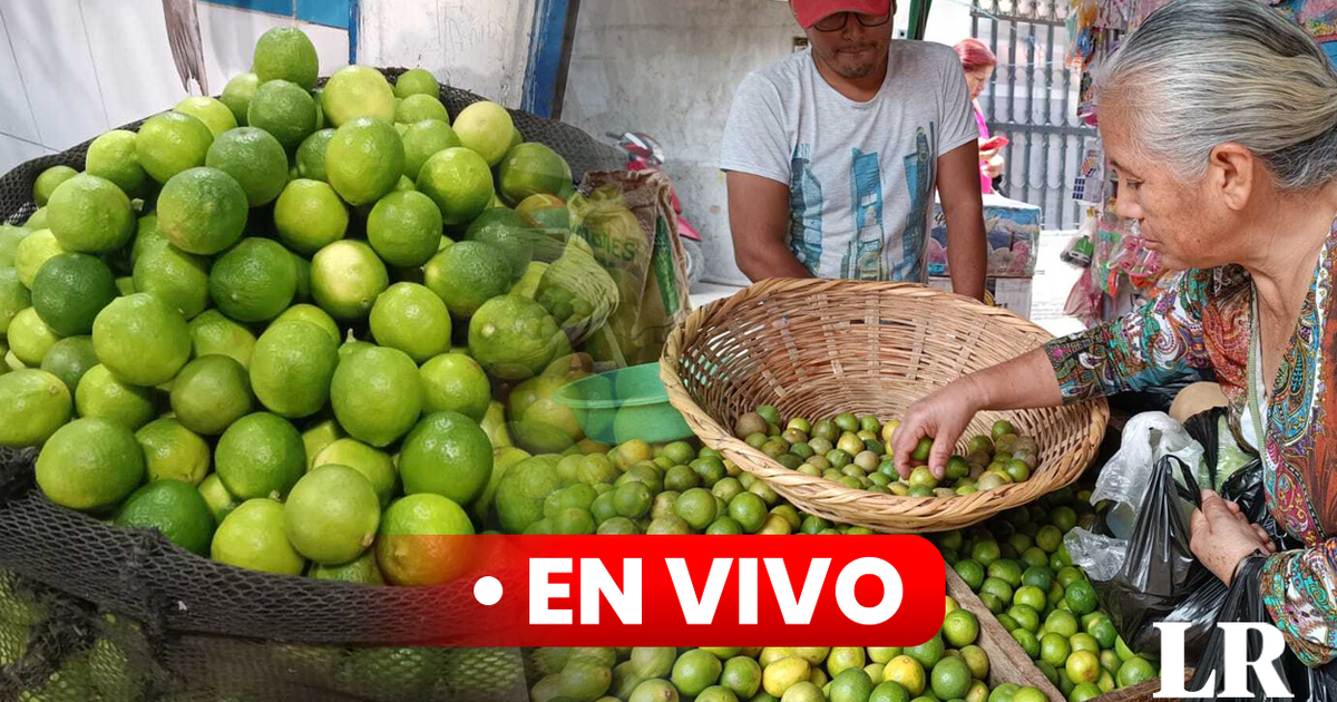 Precio del LIMÓN hoy 24 de septiembre cuánto cuesta el kilo en Lima y