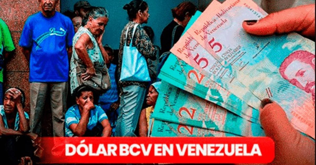 Dólar BCV 2 de octubre 2023 conoce la cotización del dólar en