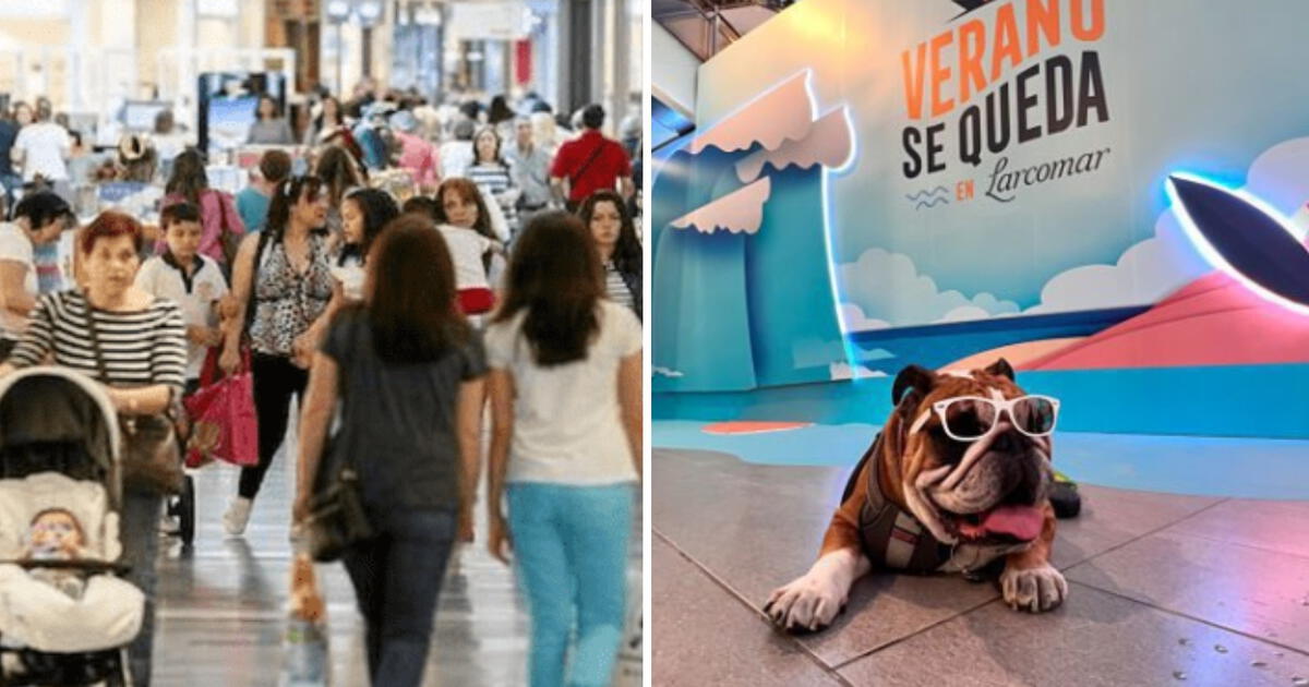 Lista De Malls Pet Friendly En Lima Conoce Los Centros Comerciales Que