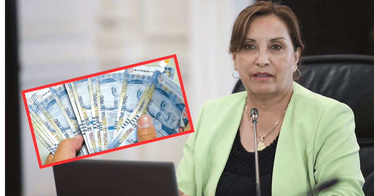 Dina Boluarte Presidenta Habr A Recibido M S De Un Mill N De Soles De