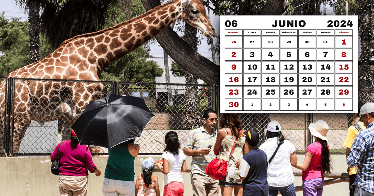 De Junio Es D A Feriado O No Laborable Esto Es Lo Que Se Sabe V A