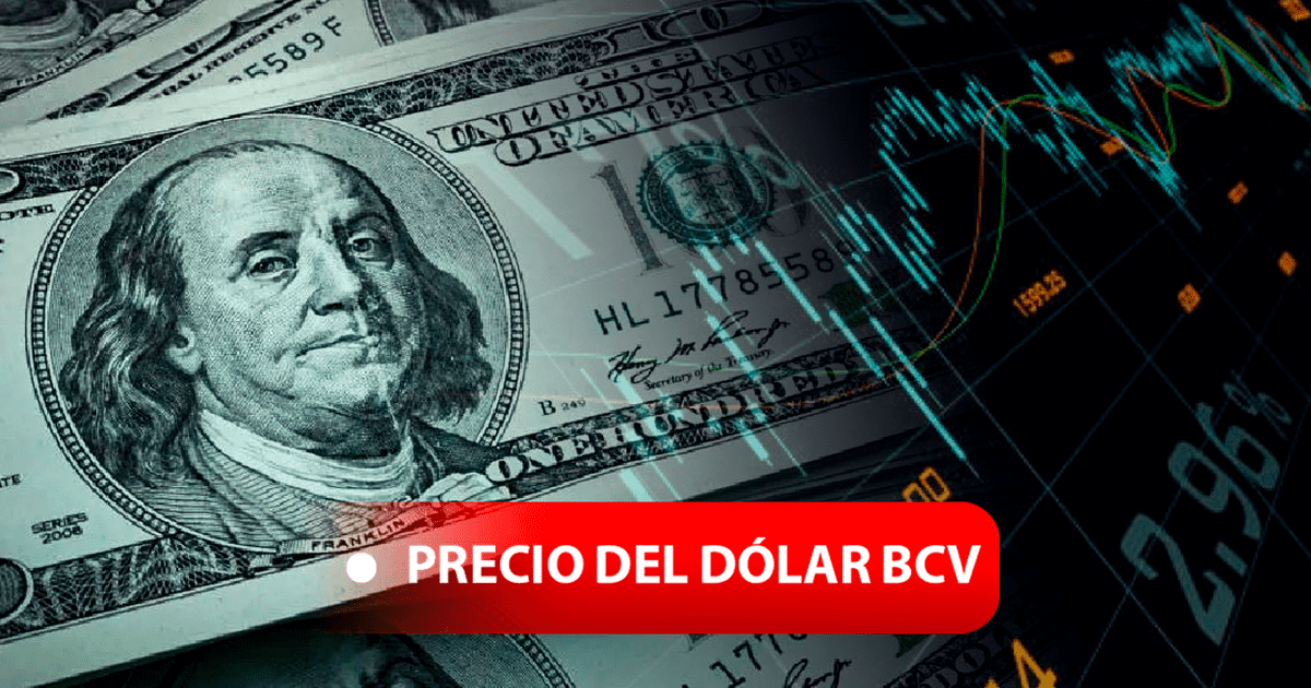 MIRA el precio del Dolar BCV y Dólar Paralelo HOY 16 de noviembre en