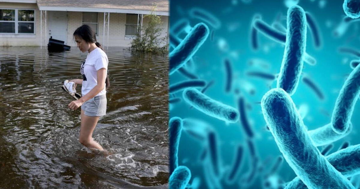 Alerta En Florida Aumentan Infecciones Por Bacteria Come Carne Tras