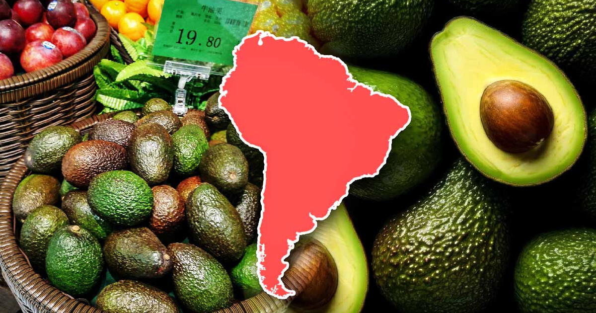 Sudamérica El país que exportó 50 000 toneladas de palta el oro