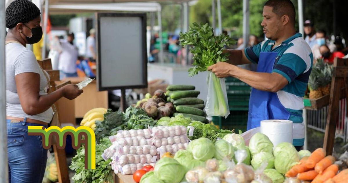 Vuelven Las Agroferias Del Ima A Panam Calendario Lugares Y Horarios