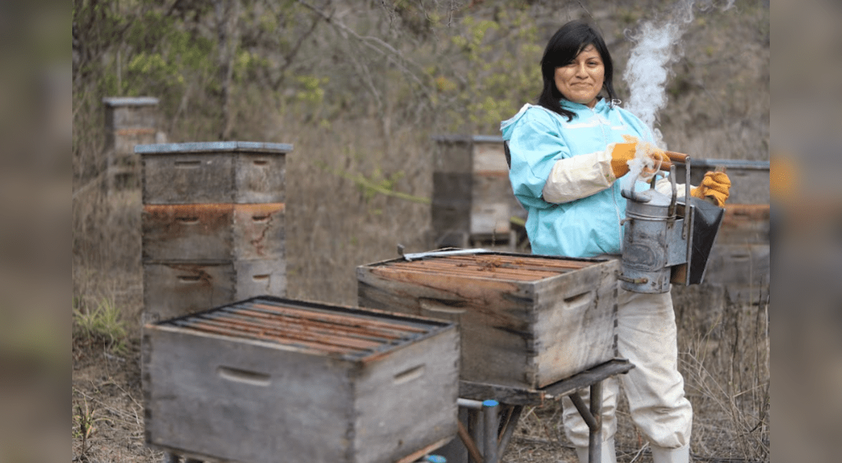 Guardiana De Las Abejas Ysabel Calder N Ciencia Abejas Domingo