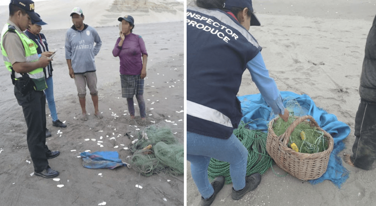 Arequipa Proh Ben Pesca En Zonas De Repoblamiento De Machas En Las