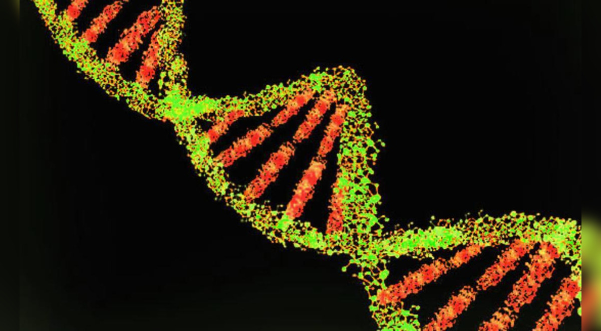 Descifran por primera vez el genoma humano completo y descubren códigos ocultos Ciencia La