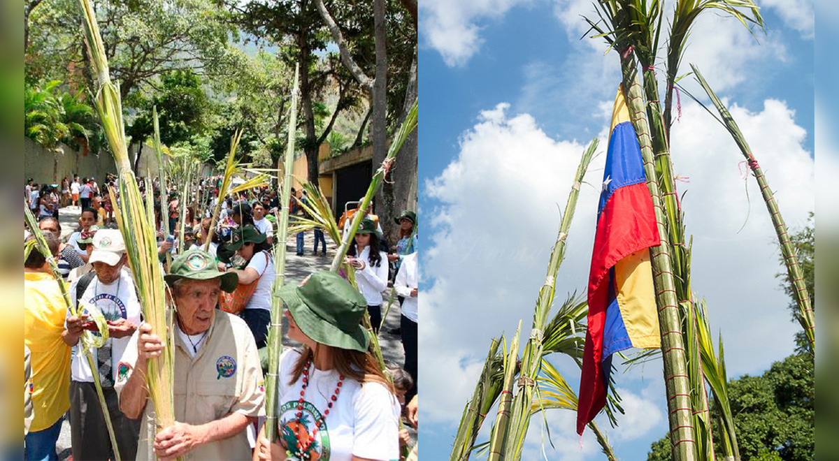 Palmeros De Chacao Cu L Es La Historia A Prop Sito Del Domingo De