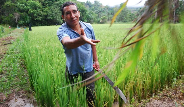 Ministerio De Agricultura Crear Fondo De S Millones En Favor De