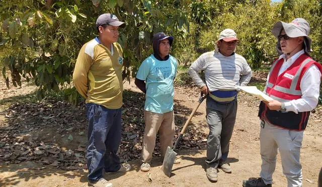 Sunafil M S Mil Trabajadores De La Zona Rural Del Per Se