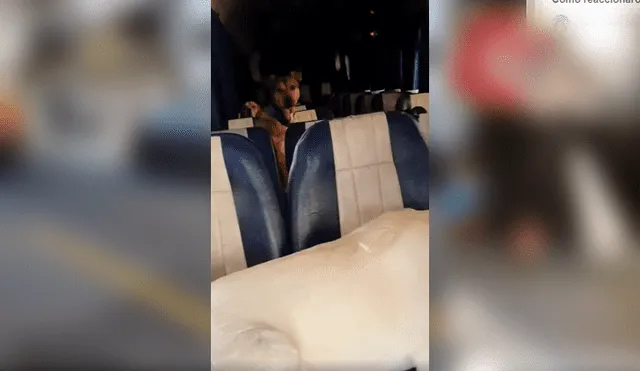 Instagram Joven Entra A Extra O Bus Y Se Sorprende Al Ver Qui Nes Eran