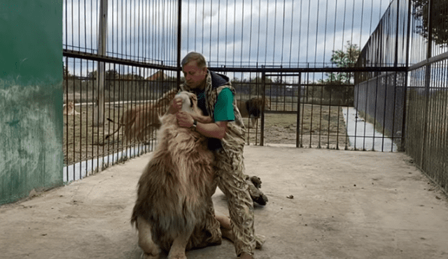 Facebook viral ingresa a jaula de enorme león y este lo sorprende con