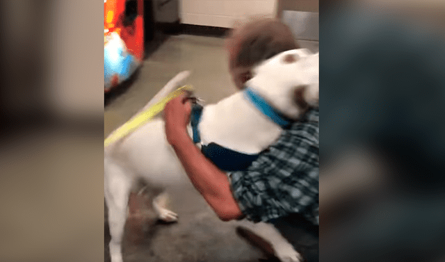 Facebook viral perro se reencuentra con su dueño y su tierna reacción