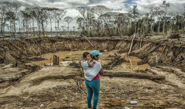 Medio ambiente Minería ilegal en la Amazonía peruana no cesó pese a