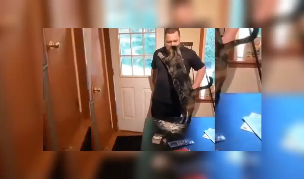 Desliza hacia la izquierda para ver más del video viral. Fotocaptura: Twitter