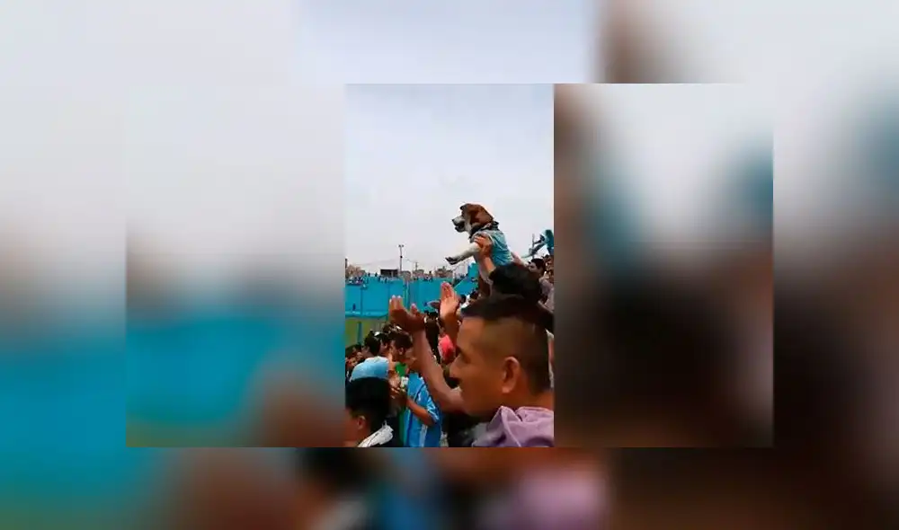 perro-hincha-sportingcristal perro-hincha-sportingcristal