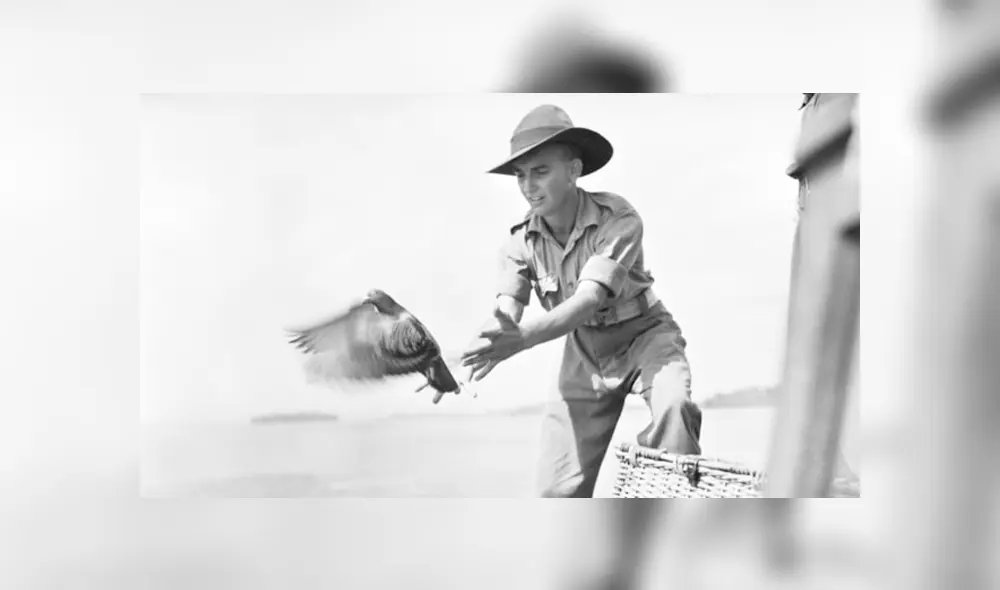 Desliza para ver todas las imágenes de Facebook. Foto: captura.