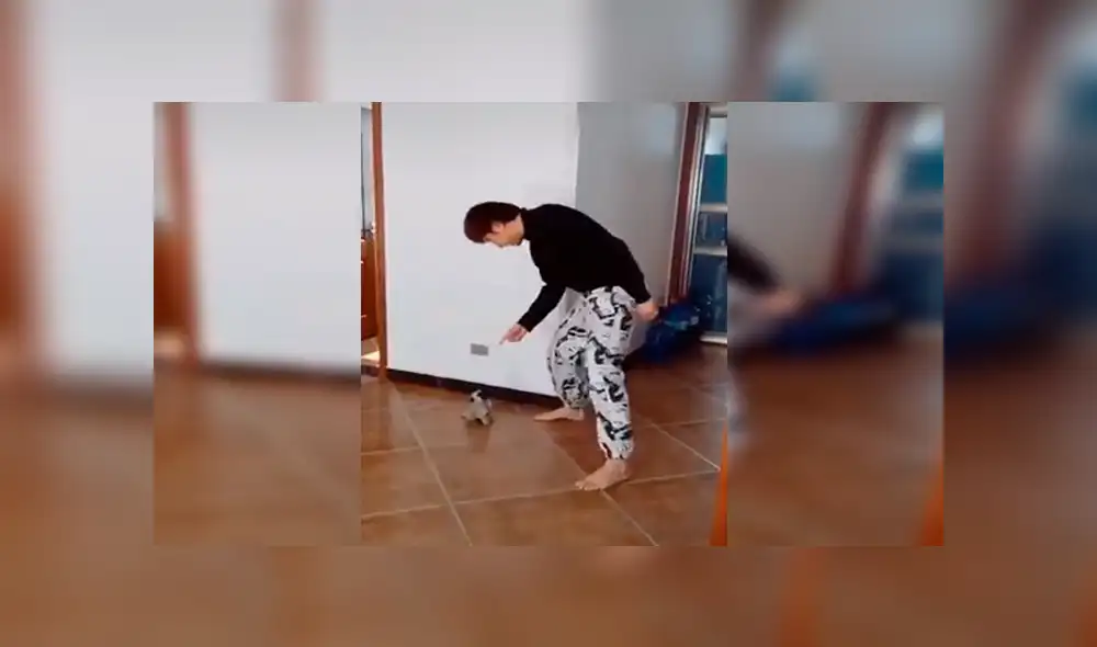 YouTube viral: cachorro causa ternura al imitar movimientos extraños de su dueño [VIDEO]