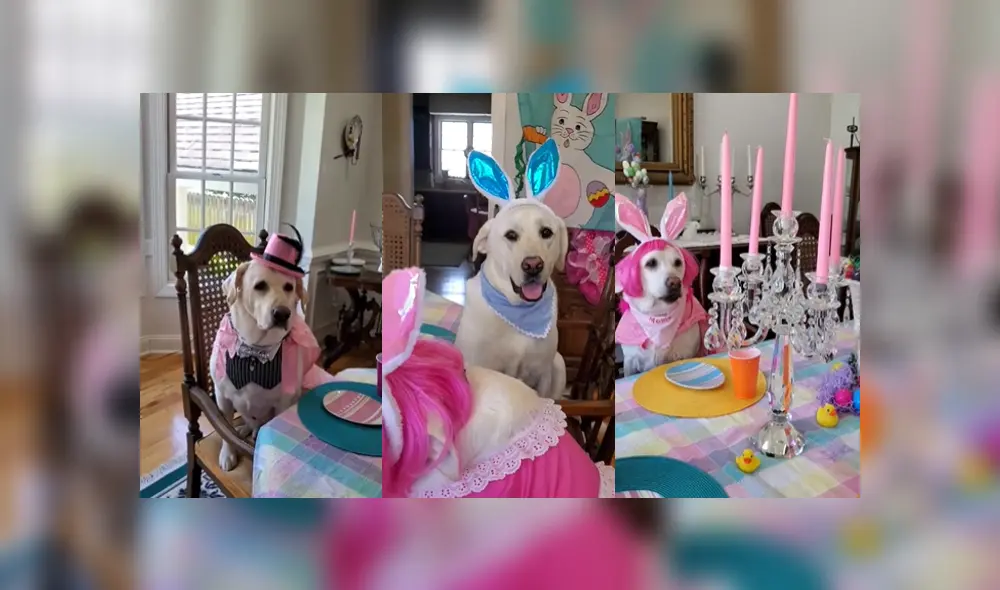 Desliza a la izquierda para ver más imágenes de la increíble celebración que se hizo viral en Facebook.