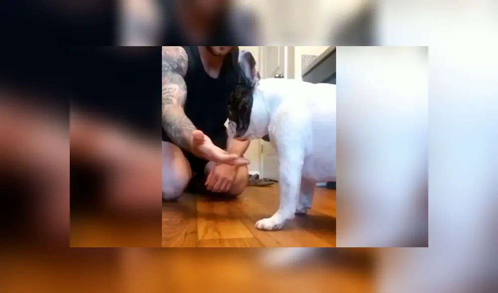 Desliza las imágenes para observar el singular comportamiento de un perro al notar el truco de magia de su dueño. Foto: Captura. Desliza las imágenes para observar el singular comportamiento de un perro al notar el truco de magia de su dueño. Foto: Captura.