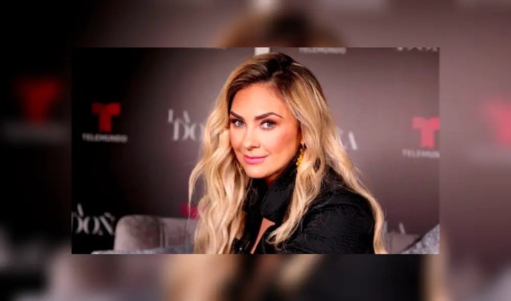 Aracely Arámbula desmiente que matrimonio con Luis Miguel la benefició